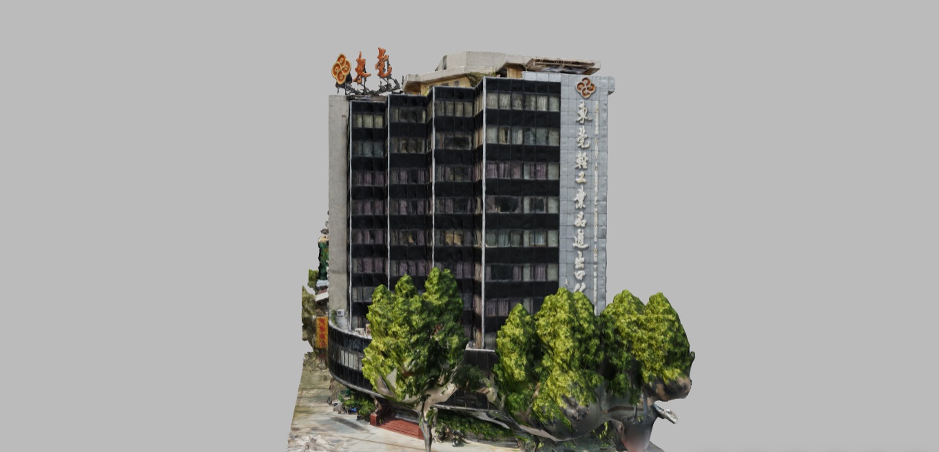 Dongguan Light Industry Press