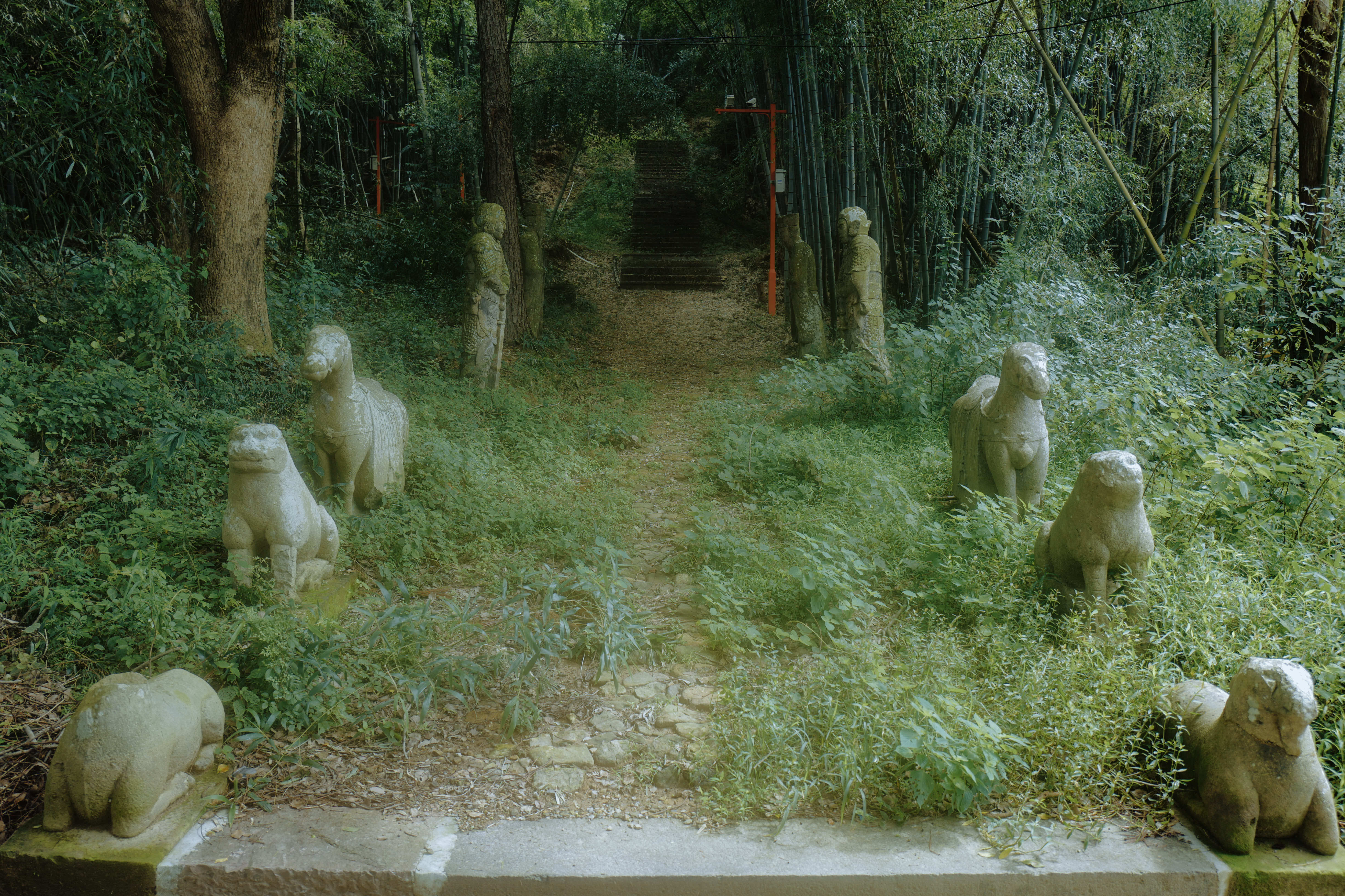 史诏墓 L1810631-1